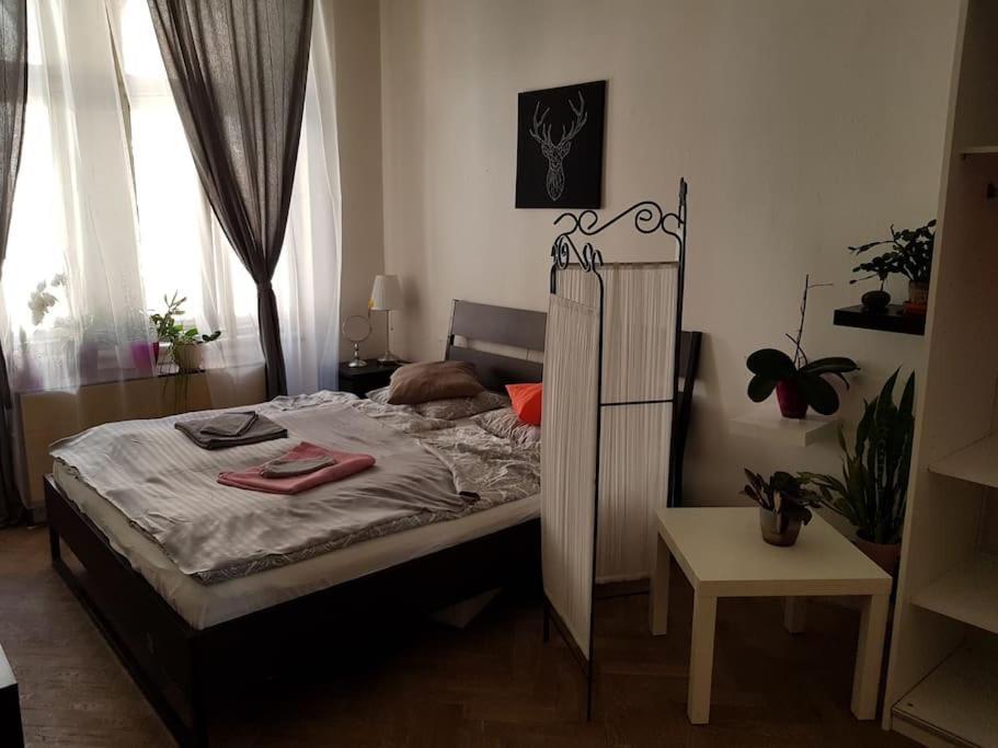 Americka 25, 2 Vinohrady Apartment *